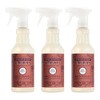 Mrs. MEYER'S CLEAN DAY Multi-Surface Everyday Cleaner, Fall Leaves Scent,