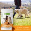 Turmeric for Dogs - Organic Turmeric with Curcumin, Hip and