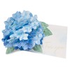Greeting Life Summer Early Summer Rainy Season Card Flower Pop
