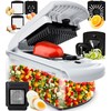 Fullstar Vegetable Chopper and Spiralizer - Food Chopper with Container,