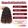 Datanala GoGo Curl Crochet Hair 12 Inch Pre-Looped Water Wave