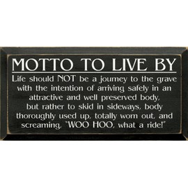 Wood Plaque - Motto To Live By: Life Should Not Be A Journey To The Grave (Old Black)