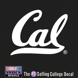 Stockdale California Golden Bears Decal- Script Cal