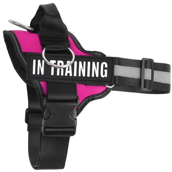 JUSTYEZI Essential Dog Harness with 3 Leash Clips - No-Pull,