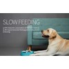 PetDreamHouse Spin Interactive Slow Feeder Puzzle for Dogs, Palette, Difficulty