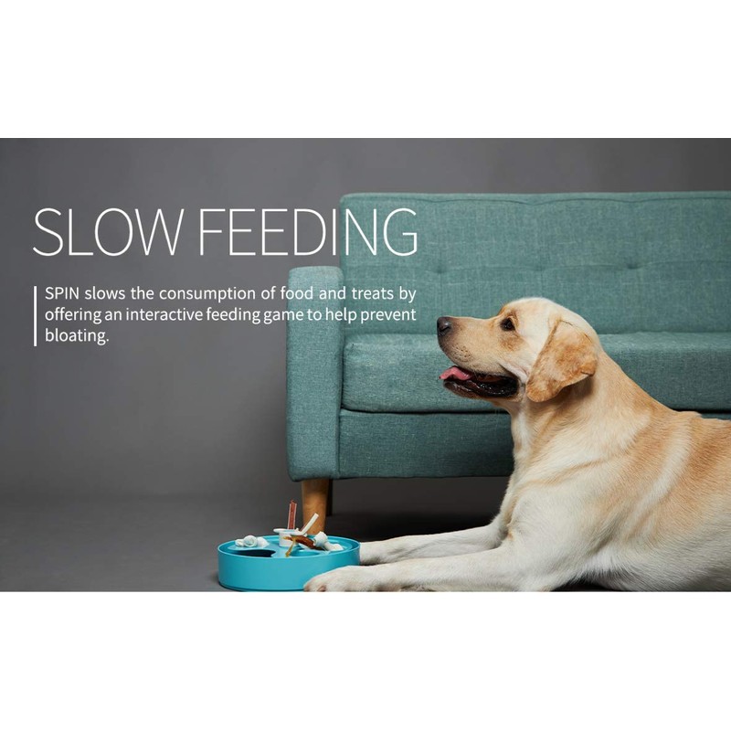 PetDreamHouse Spin Interactive Slow Feeder Puzzle for Dogs, Palette, Difficulty