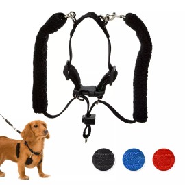 Sporn Original Training Halter, Small Dog Harness No Pull wi Sz_Small_Black
