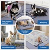 2 Pack Washable Puppy Pads for Dogs: 48x60In Reusable Pee