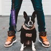 Dog Reactive Leash Sleeve Nervous Dog Leash Wrap Reactive Dog