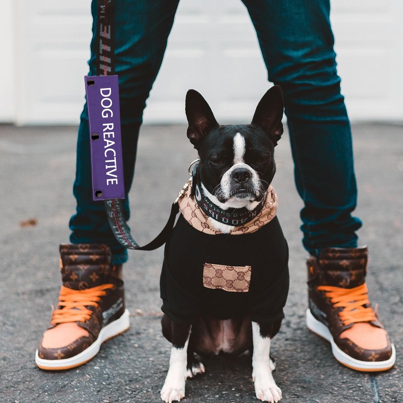 Dog Reactive Leash Sleeve Nervous Dog Leash Wrap Reactive Dog