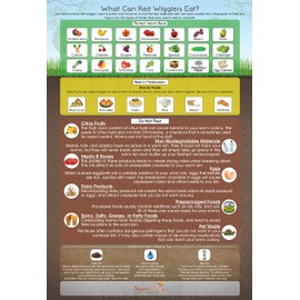 "What Can Red Wigglers Eat?" Infographic Refrigerator Magnet for Worm Composting Bins