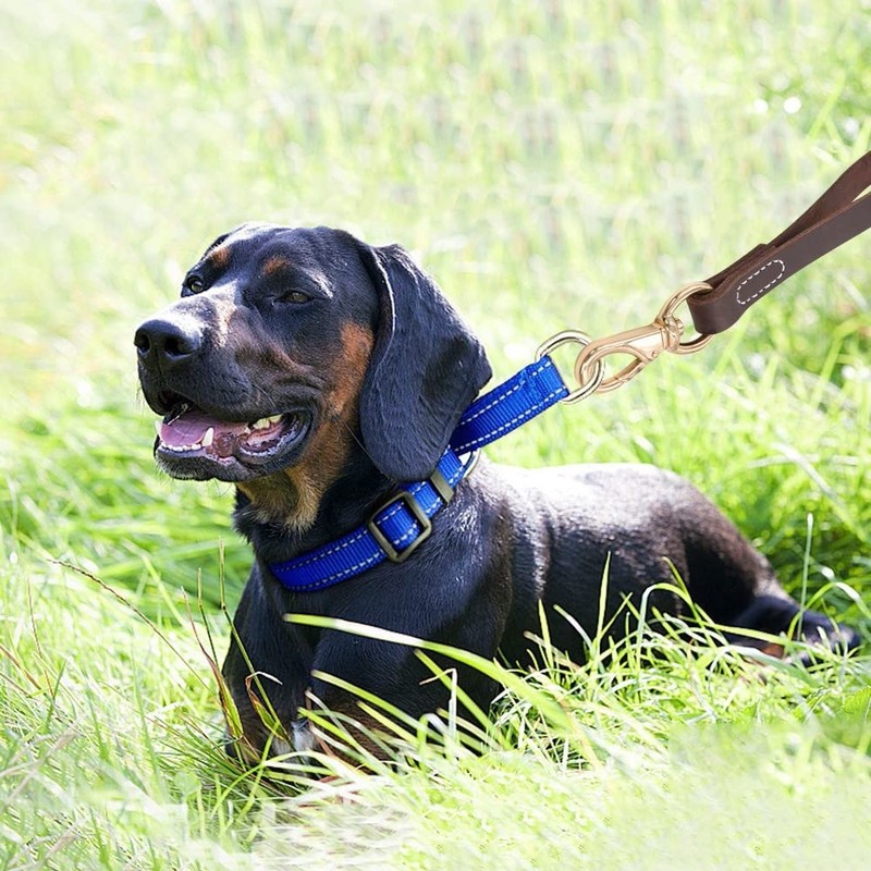 DONGKER 11.8" Short Dog Leash, Leather No Tangle Dog Leash