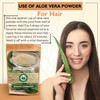 AYUSHKA ORGANIC Aloe Vera Powder | Aloe barbadensis | Hair
