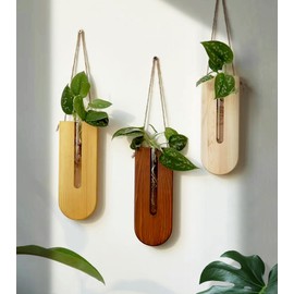 Indoor Wall Planter, Bohemia Flower Vase, Propagation Station, Wooden Hanging Planter, Wall Decor for Living Room (U Shape/Set of 3)