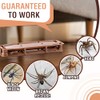 Spider Traps Indoor, 24 Pack Extra Sticky Brown Recluse Traps,