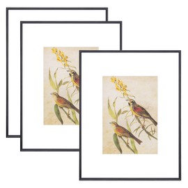 9x12 Picture Frame Set of 3, Black Modern Aluminum Metal Photo Frame with HD Glass, Fits 6x8 with Mat or 9 x 12 without Mat, for Horizontal Wall Mounting