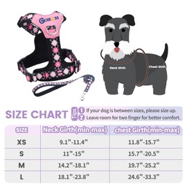 GOEEOSS No Pull Dog Harness and Leash Set, Lightweight Frame No Choke Pet Harness, Double Buckle Adjustable Dog Vest for Small Medium Dogs Puppy (Black, S)