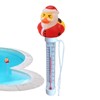 Pool Temperature Meter Floating Easy Read - Easy Read Duck