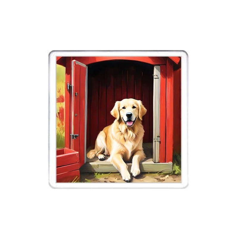 Golden Retriever Dog Coaster Set. 4 different Golden Retriever Dog