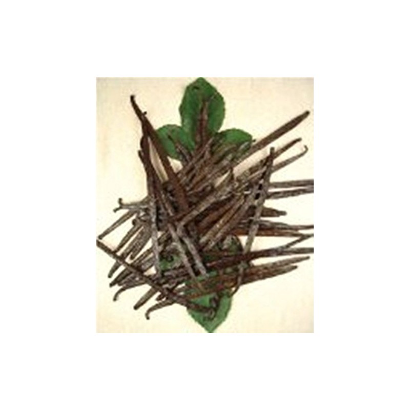 OliveNation Morel Mushrooms, Dried Morchella Conica - 1 ounce