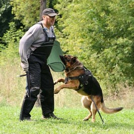 Morezi Dog Bite Sleeve Training Large Dogs Set Included Dog Bite Toy Stick Fits Pitbull German Shepherd, K9, IPO, Puppy Playing Biting Tugging Toy Interactive Play