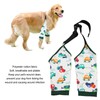Dog Recovery Front Legs Sleeve Abrasion Resistant Breathable Comfortable Soft