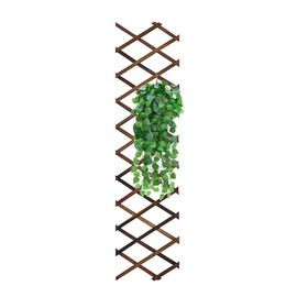 Reagia Wooden Lattice Wall Planter Garden Fence, Extra Thick Expandable Plant Climb Hanging Frame Trellis Plant Support Fence Indoor Air Plant Vertical Rack Fairy Garden for Room Patio Garden