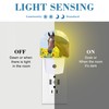 Uiaoiais Night Light Plug into Wall Horse in Sunflower Field