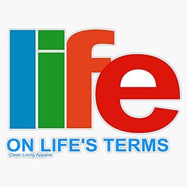 Narcotics Anonymous Life On Life'S Terms 80S 90S Retro Na Aa Gifts Bumper Sticker Window Vinyl Decal 5"