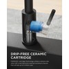 FORIOUS LED Kitchen Faucet with Pull Down Sprayer Black, Modern