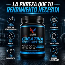 Creatina Monohidratada Micronizada 500 g Alta Pureza