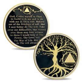 7 Year Sobriety Chip Tree of Life Sobriety Coin AA Coins and Medallions Sobriety Gifts for Men Women Sobriety Achievement Affirmation Token