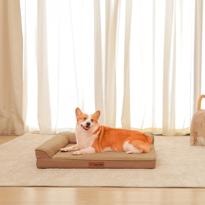 Rainmr Orthopedic Dog Bed Medium Size Dog, Memory Foam Dogs