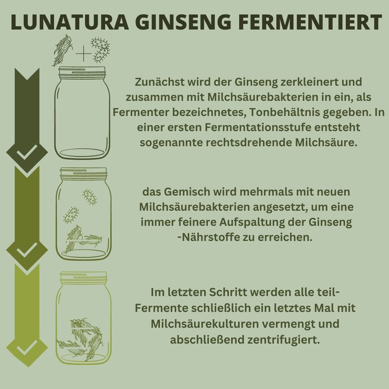 Lunatura - Ginseng Capsules - Fermented Siberian and Korean Ginseng
