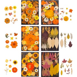 Flor Seca para moldes de Resina Juego de Flores y Hojas secas prensadas Naturales para Manualidades, álbumes de Recortes, Velas, joyería, Flores de Relleno de Resina