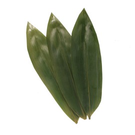 BambooMN Bamboo Leaves - Vacuum Packed - 12.25 x 3.5 Inches - 1000 pack
