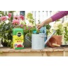 Miracle-Gro Water Soluble All Purpose Plant Food
