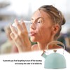 Whistling Tea Kettle Tea Pots 2.5L Stainless Steel Kettle with