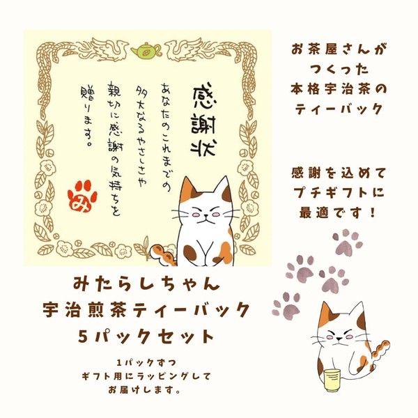 Iwama-en Seicha Honpo Mitarashi-chan Uji Sencha Tea Bag Set with
