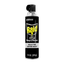 Raid Raid Wasp and Hornet Killer Spray, Kills the entire nest, Kills Paper Wasps, Yellow Jackets, Mud Daubers and more, 14 oz