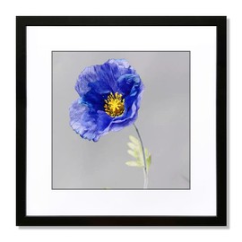 VNVNK 18x18 Frame Black, Perfect for 18x18 Inch Picture without Mat or 14x14 Inch Picture with Mat, Home Wall Decor Picture Frame-1 PCS