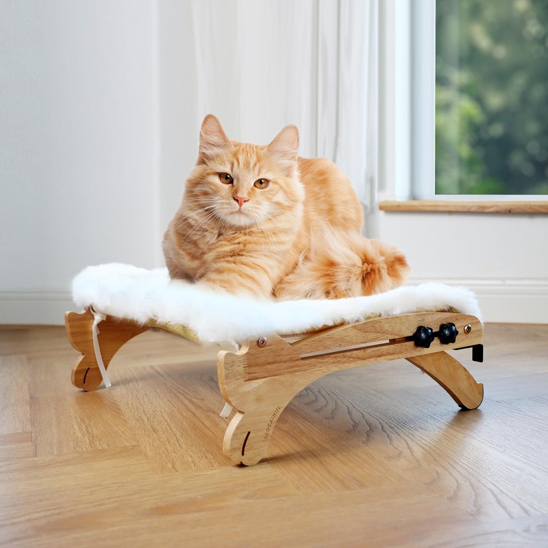 2-in-1 Cat Window Perch & Bed with Removable Plush Cushion