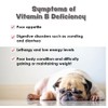CobalaVet Vitamin B12 & B9 for Small Dogs & Cats