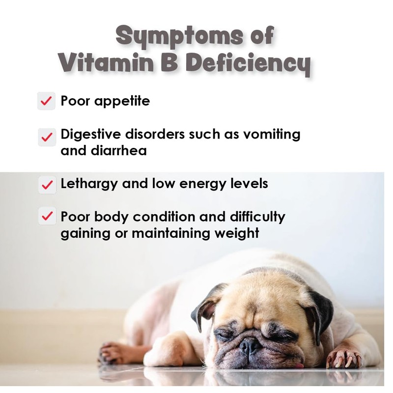 CobalaVet Vitamin B12 & B9 for Small Dogs & Cats