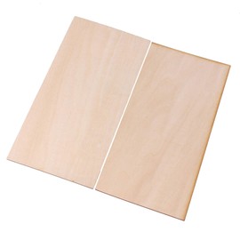 BQLZR 200x100x1.5mm Rectangle Unfinished Craft DIY Basswood Wooden Sheets for Hand-made Project Miniatures House Building Architectural Model Pack of 5