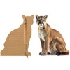 Cougar - Life Size Cardboard Cutout Standup People with Support