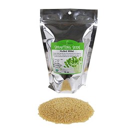 Organic Hulled (Husk Removed) Millet Seeds: 1 Lb - Non-GMO Cereal Grain - Make Millet Beer, Grind Millet Flour, Cereal, Bird Seed, Emergency Food Storage