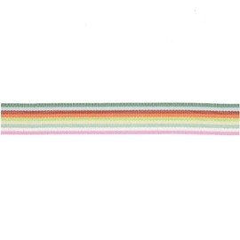 Woven Ribbon Multi Stripes Pink/Green/Yellow/Red/Blue
