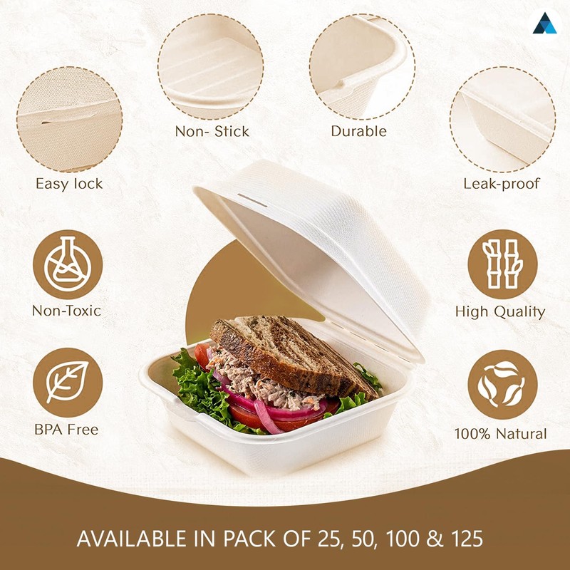 Nationwide Paper Takeaway Bagasse Sugarcane Burger Box (50)