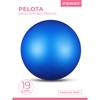 DRUNA Blue PVC Exercise Ball 400g 19cm